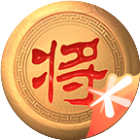 天天象棋 图标