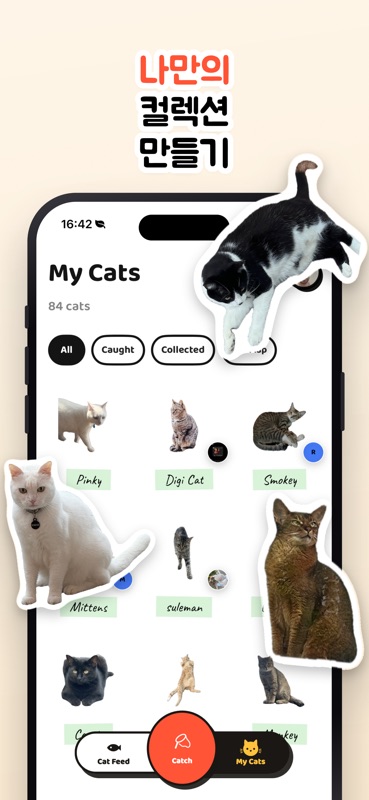Cat Collector: 진짜 고양이 游戏截图