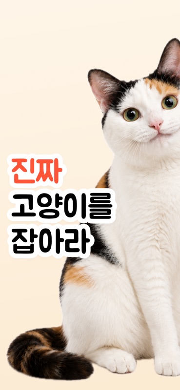 Cat Collector: 진짜 고양이 游戏截图