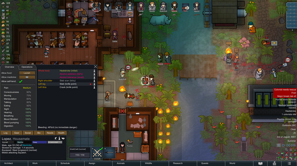 边缘世界 RimWorld 游戏截图
