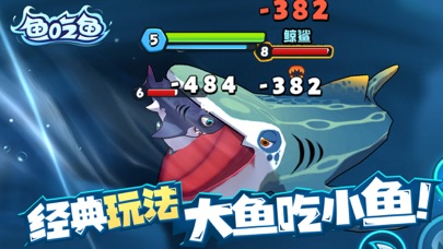 鱼吃鱼 游戏截图