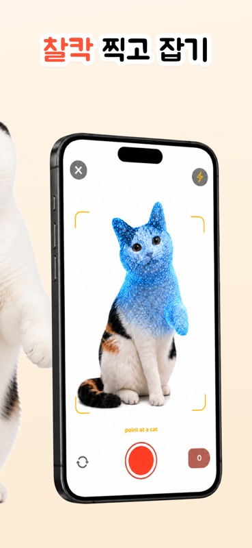 Cat Collector: 진짜 고양이 游戏截图
