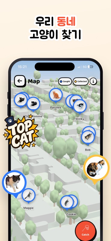 Cat Collector: 진짜 고양이 游戏截图