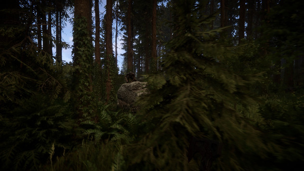 Sons Of The Forest 游戏截图